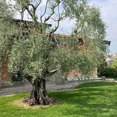 San Lorenzo Daire