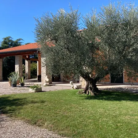San Lorenzo Apartment