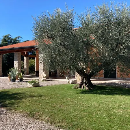 San Lorenzo Apartamento